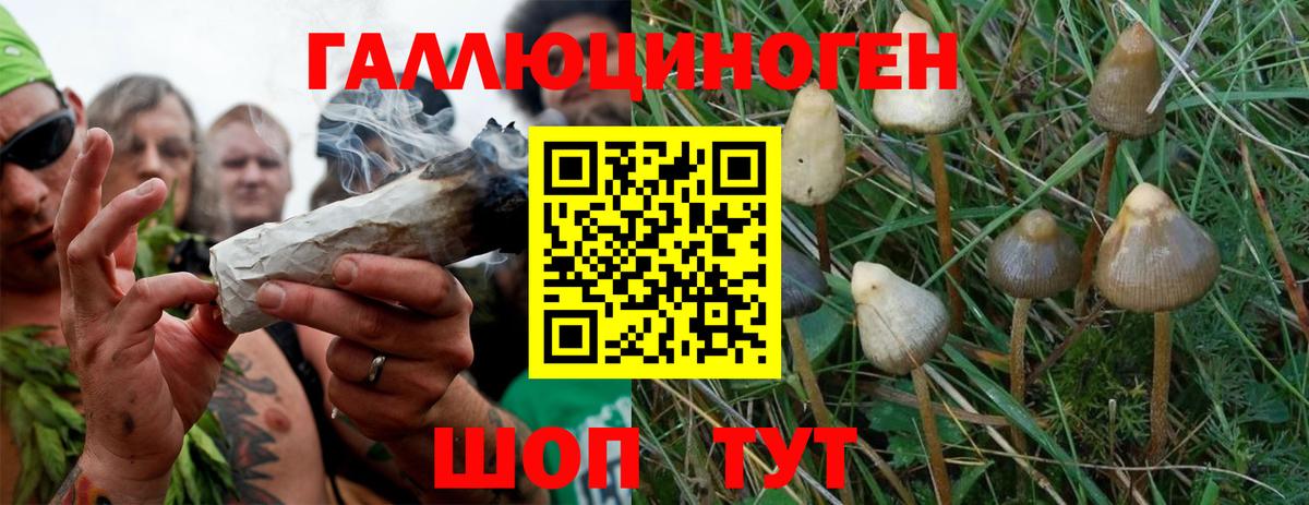Галлюциногенные грибы Magic Shrooms  Вход с VPN  Магадан 