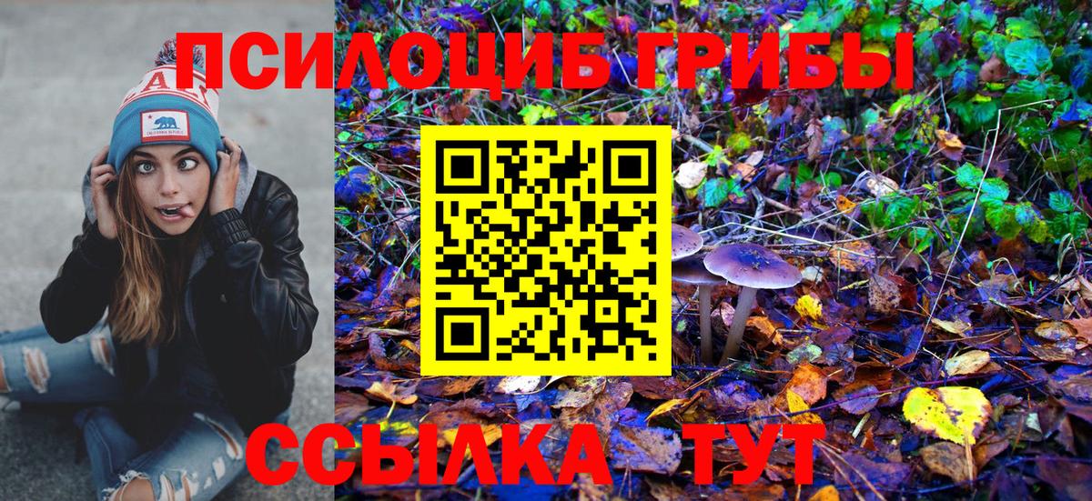 Псилоцибиновые грибы Magic Shrooms Магадан
